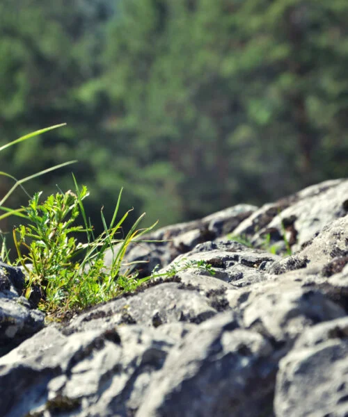 Sylmar, CA – Woman and Three Children Hospitalized After Car Plunges 120 Feet Off Cliff
