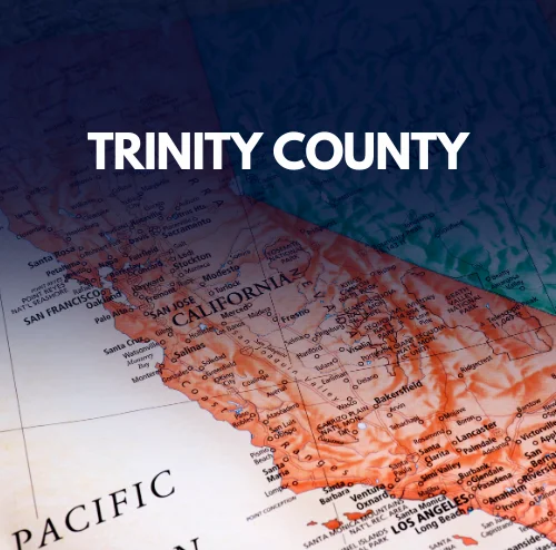 Accident Lawyer in Trinity County